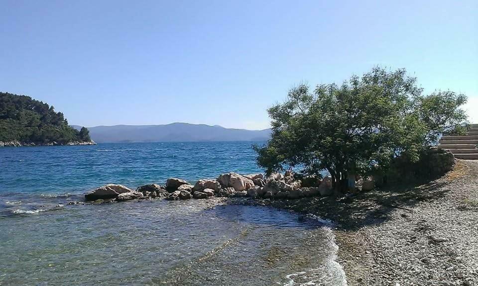 Apartamento Kremena Small 200m Klek